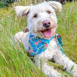 D 9923c1b9 05a7 4d57 b69a 8a2a13edc723