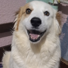 D 9b75ba08 dd0d 43e7 b982 944ecbeb015d