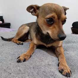 D 27b70ce0 8b9e 4207 aadd 6d88efd8924e