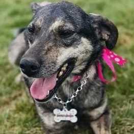 D 6ac03335 fed3 4879 b819 dd7db724e683