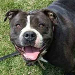 D 3225fafd 29ba 411b ba2d 3a054629e690