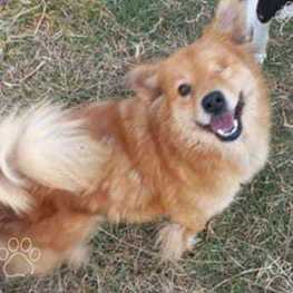 D 074f9cca 36fe 43b1 bbac a23a3a4cd9fe