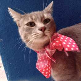 D 93e78d49 3bdd 42f8 815c 5a58ec266131