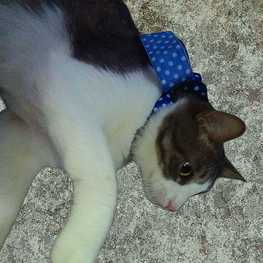 D 8a5cd30e 61b0 4242 a1aa ae36f9d7d664