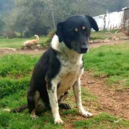 D c253515e c89a 452e a9fb 426ecd84cd52