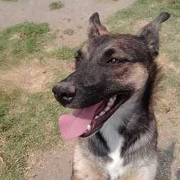 D 2e9b09eb 6100 4a9e 8636 4786cff5f429