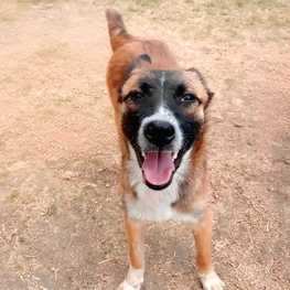 D 6d79dc5c 34e5 45ce 91b6 a75a16a95a2c