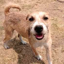 D 1de3ab5b faa7 4c07 bbba 7d3a84b81e19