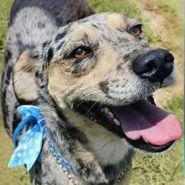 D 23b285b0 9b11 4756 a92b 819ab071b7ce