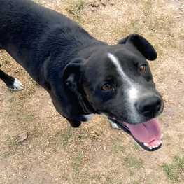 D bb74d1af 8b8b 4c7c 8bc7 4c3acdcda65d