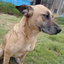 D 81a72a40 db1c 461c ab40 cff0f1ff287b