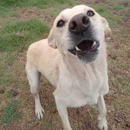 D 67bd4ece 4b40 4569 8b54 5b3929888f3e