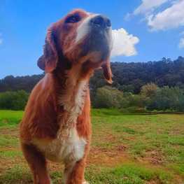 D e24dc4d0 a3e0 4153 b101 d0f5415f0d48