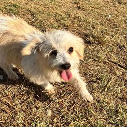 D acc9ce8b adea 4cab a3af 3adabed22147