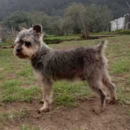 D f10d6fc2 1286 46f3 9092 b596c70989d8