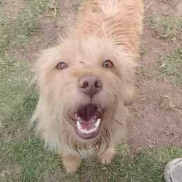 D e5cde79c 523c 4f7a 93dc 9dc5c8e14301