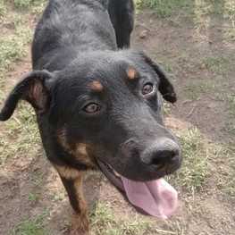 D 088ac320 9ee9 490c abb8 b6e87073379d