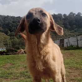 D 584f50f1 adde 4e40 9cd8 7b9eace19ae4