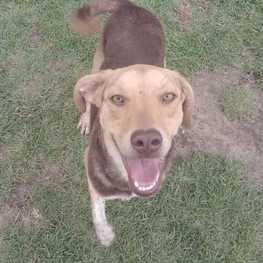 D c70b349b 05d0 4093 81b7 4d9a9f0fe11b