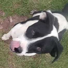 D 0f3352da 56d9 4a1e 856d 32f777baee8f