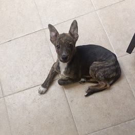 D e1ad7b8e 7306 4e76 ab7e 40972f561fb2