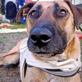 D 6948968c 59f2 486e 94ad 47b7eb593ac3