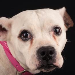 D 04e2b156 879f 4cb2 a2a7 c9f3f46ad482