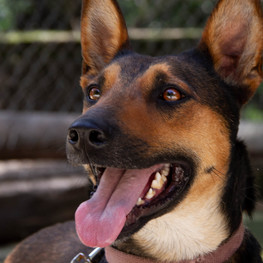 D 4522dd82 44d7 40b2 bceb d994ad030572