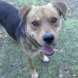 D 048cef8e b00b 4848 9a71 c9e3f1f44319