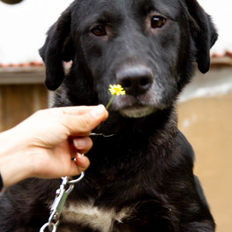 D e9b511a2 3a72 4cb5 a6d4 6dfdc4377881