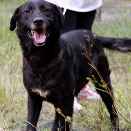 D d9cec701 ed9d 4e22 87b7 dac32a25565d