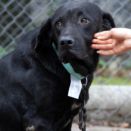 D 45a1197d e8f1 4ce6 8044 73150d52d3a2