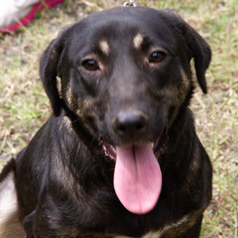 D 2af473d9 eabb 469f 9e66 aa1e3dc4d8e9