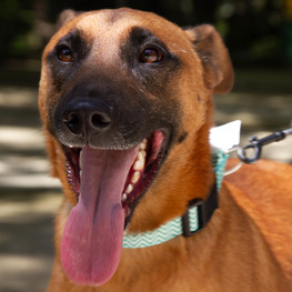 D 90208268 4d80 4e6f beb9 1b3f3e6dcf51