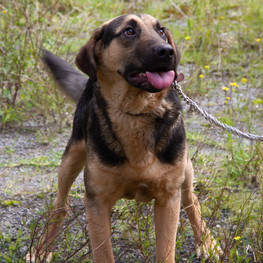 D a1c8709f 794f 4a40 ae8c 1d7327af8099