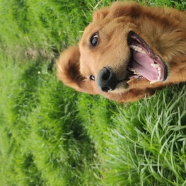 D 723a80ad 9a70 4148 91e4 1f1f1cac5211