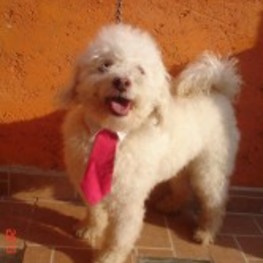 D d8820453 4f6c 41ae b12d abb8d6631485