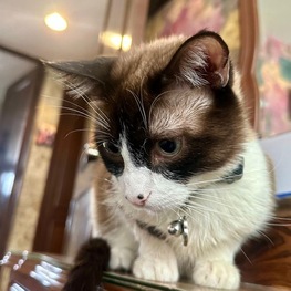 D 64b1685a 3b55 41f7 99e7 f337e78a6748