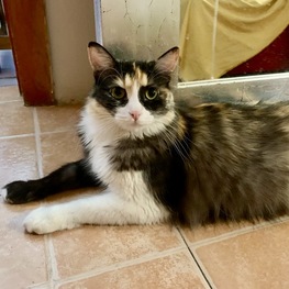 D d9575cf1 ff53 43c0 b8d3 f3b45b78dde2