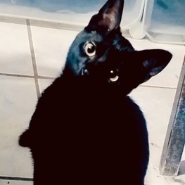 D 05547950 938b 4c76 b8dc ac2ab551567e