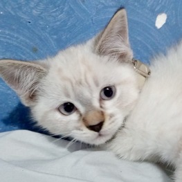 D 235b5d8f 80bd 4f22 8302 23f9164d8db0