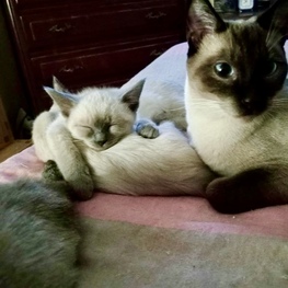 D 7aa313da 4fff 4f75 810a 9ee3c4e10a11