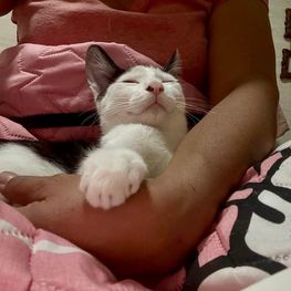 D 5f76618f 04ad 48dd be18 a04af83ab4ad