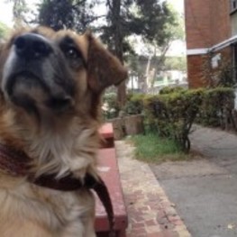 D 35fda8f9 6abc 4f68 aaa9 1ea6db69b0dc