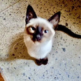 D 1a23f66a 578d 4897 b2c0 0e9ad6c0526e