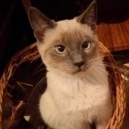 D e5f285e2 57d2 48c8 ac45 7e46a4bc2ee2