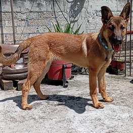 D 82b52a42 b5e9 4ef8 aa7a 8c693bc62967