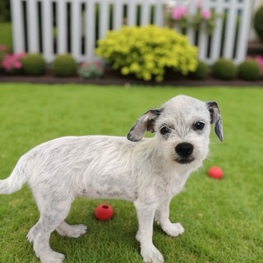 D 711ff7d6 ed56 4a21 ace8 9713933fe98a