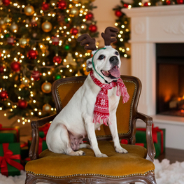 D 0bfedb37 0ae8 4269 bc29 1ccf37871847