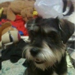 D 1d76658c de68 4d53 a2c5 15536ceec204